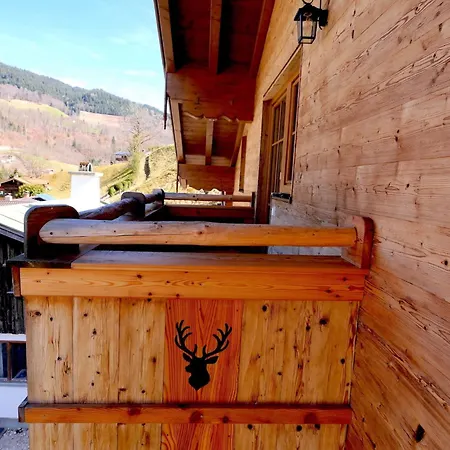 Daire Haus Kogelleiten